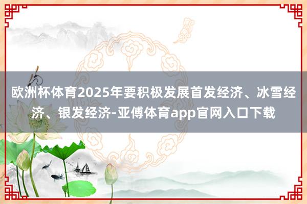 欧洲杯体育2025年要积极发展首发经济、冰雪经济、银发经济-亚傅体育app官网入口下载