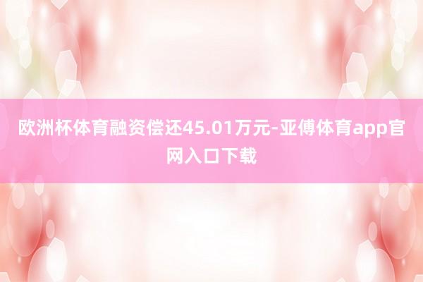 欧洲杯体育融资偿还45.01万元-亚傅体育app官网入口下载