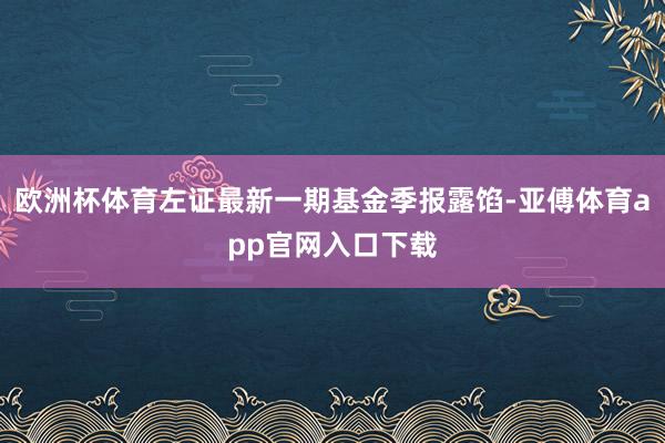 欧洲杯体育左证最新一期基金季报露馅-亚傅体育app官网入口下载